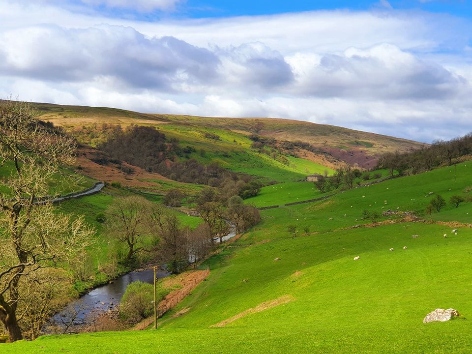 This Weekend's Walk #21 20.04.24