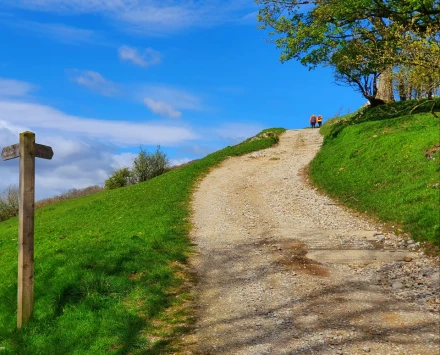 This weekend walk 21 pic 8