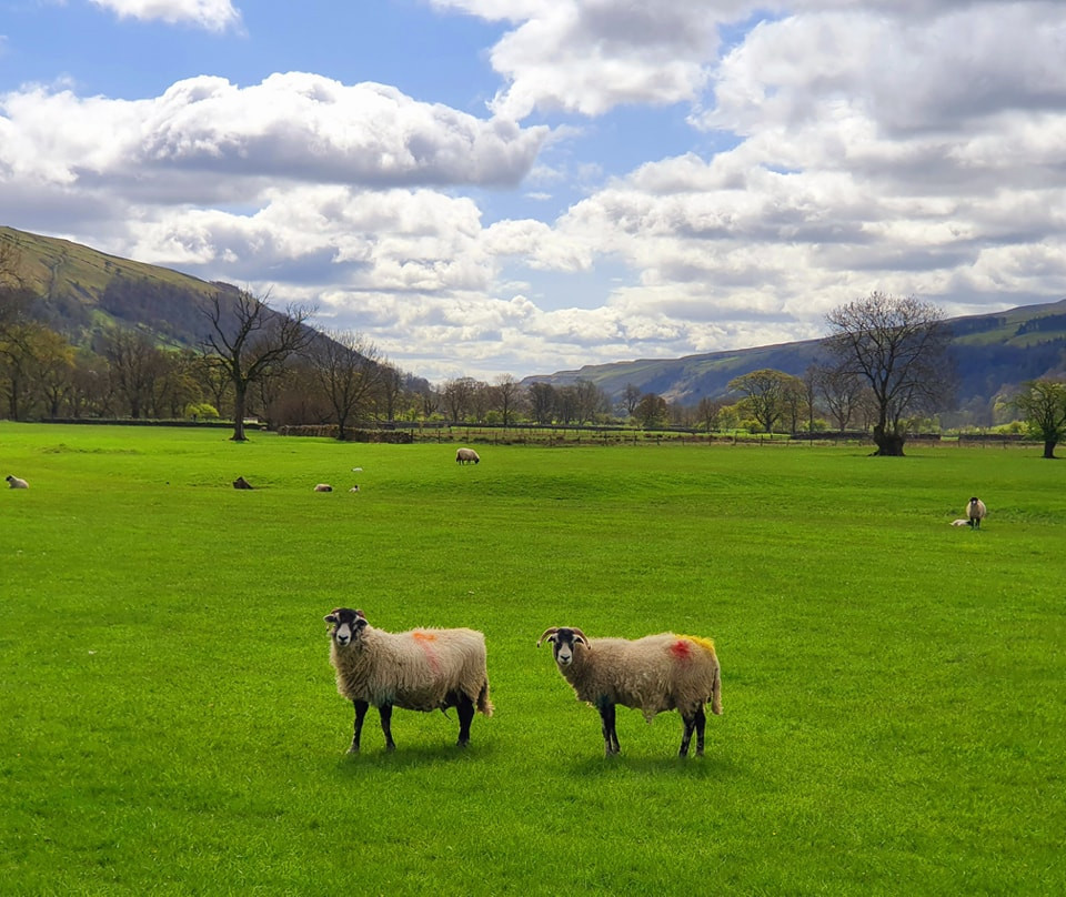 This weekend walk 21 pic 9