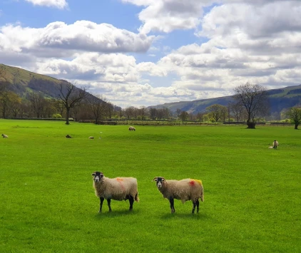 This weekend walk 21 pic 9