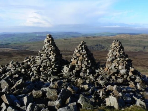 This weekends walk 9 pic 3