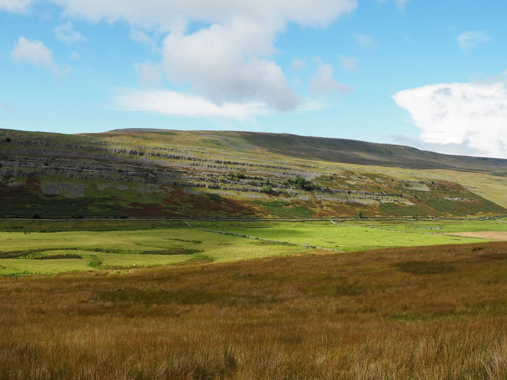 This weekends walk 9 pic 4