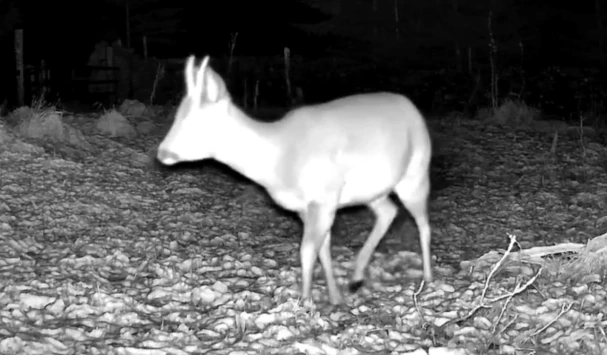 Screenshot 2025 11 20 at 17.57.43