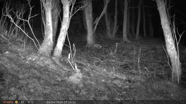 C304be56 3871 458c adae 47c045bcc227