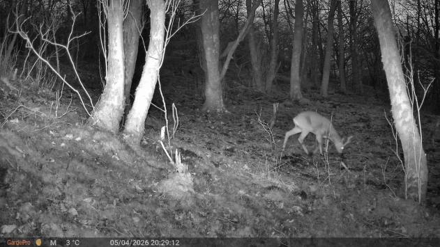 Ea730a25 17c2 4199 85ce 7a3671d4b095 2