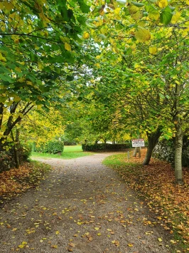 WhatsApp Image 2025 11 23 at 13.46.04 (1)