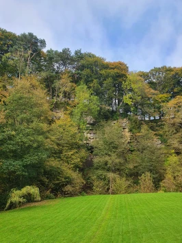 WhatsApp Image 2025 11 23 at 13.46.05 (1)