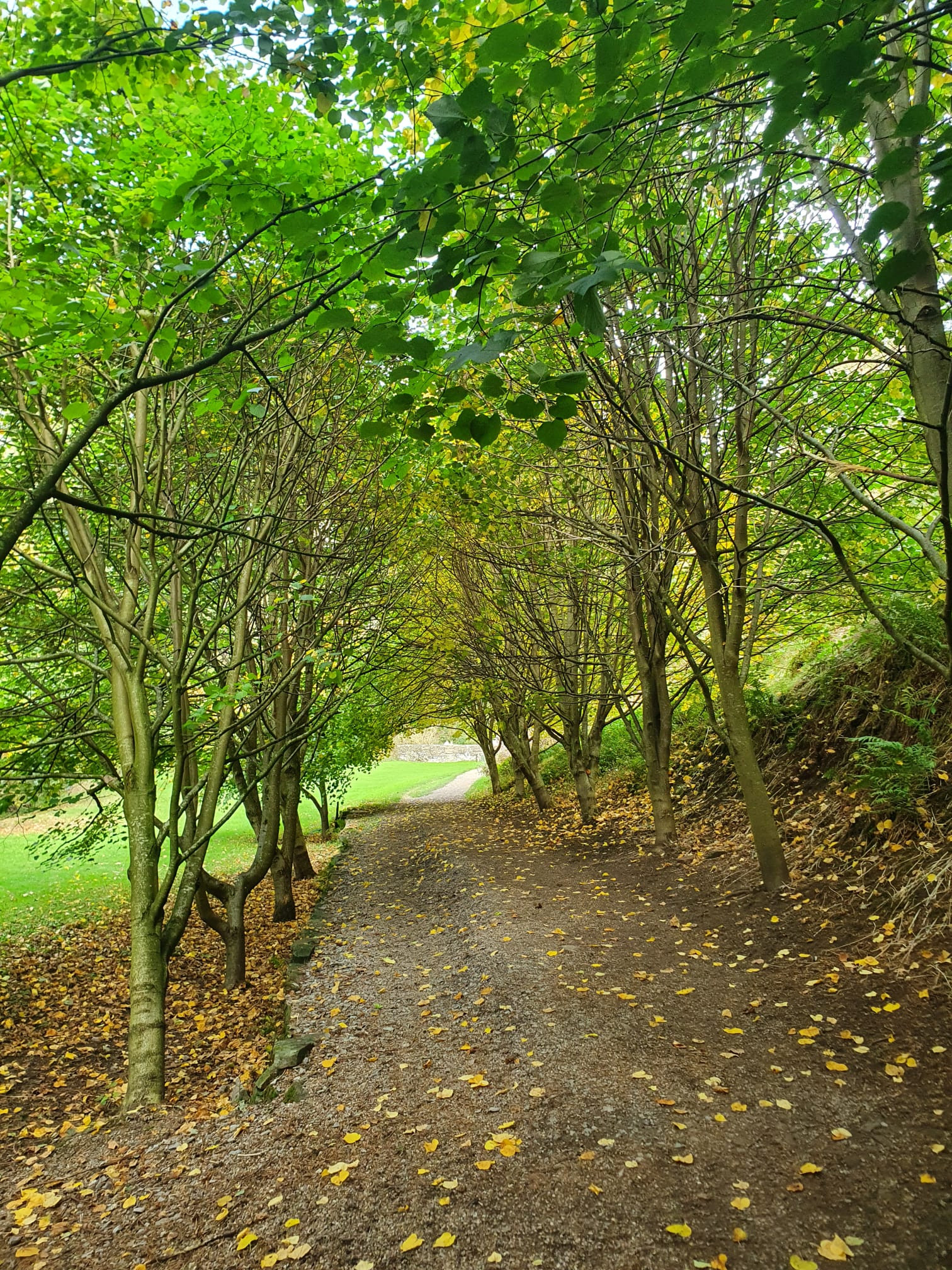 WhatsApp Image 2025 11 23 at 13.46.05