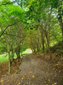 WhatsApp Image 2025 11 23 at 13.46.05