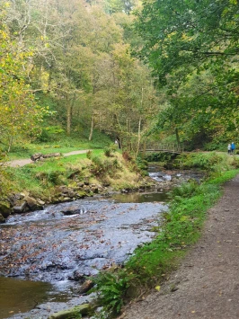 WhatsApp Image 2025 11 23 at 13.46.06 (1)