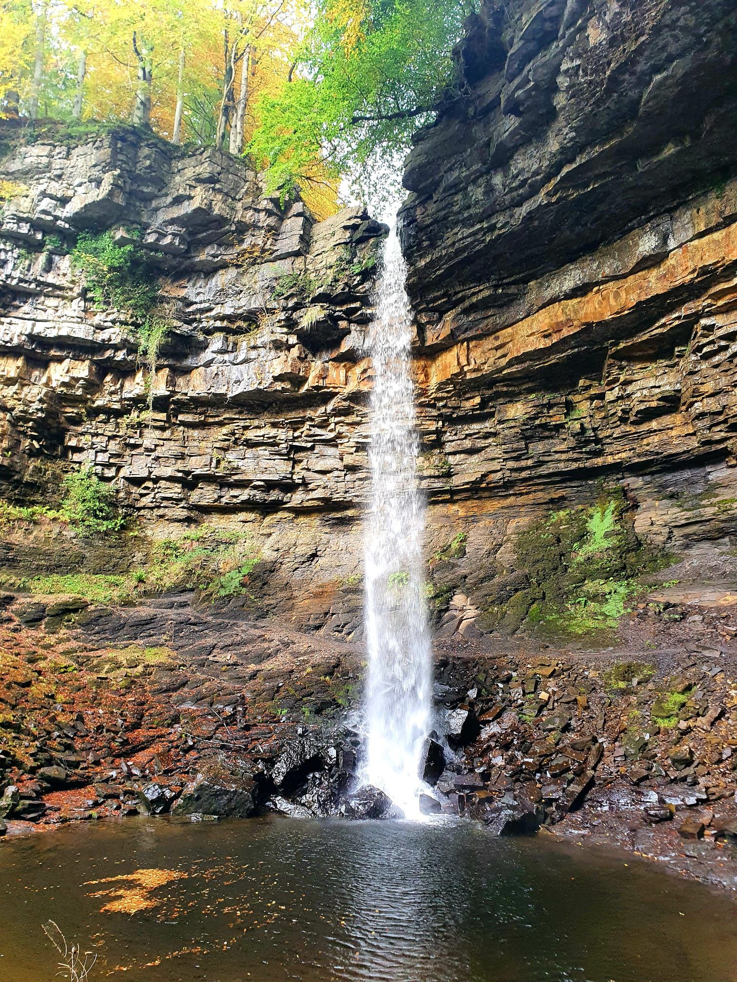 Mid-Week Mooch: Oct 25 Hardraw