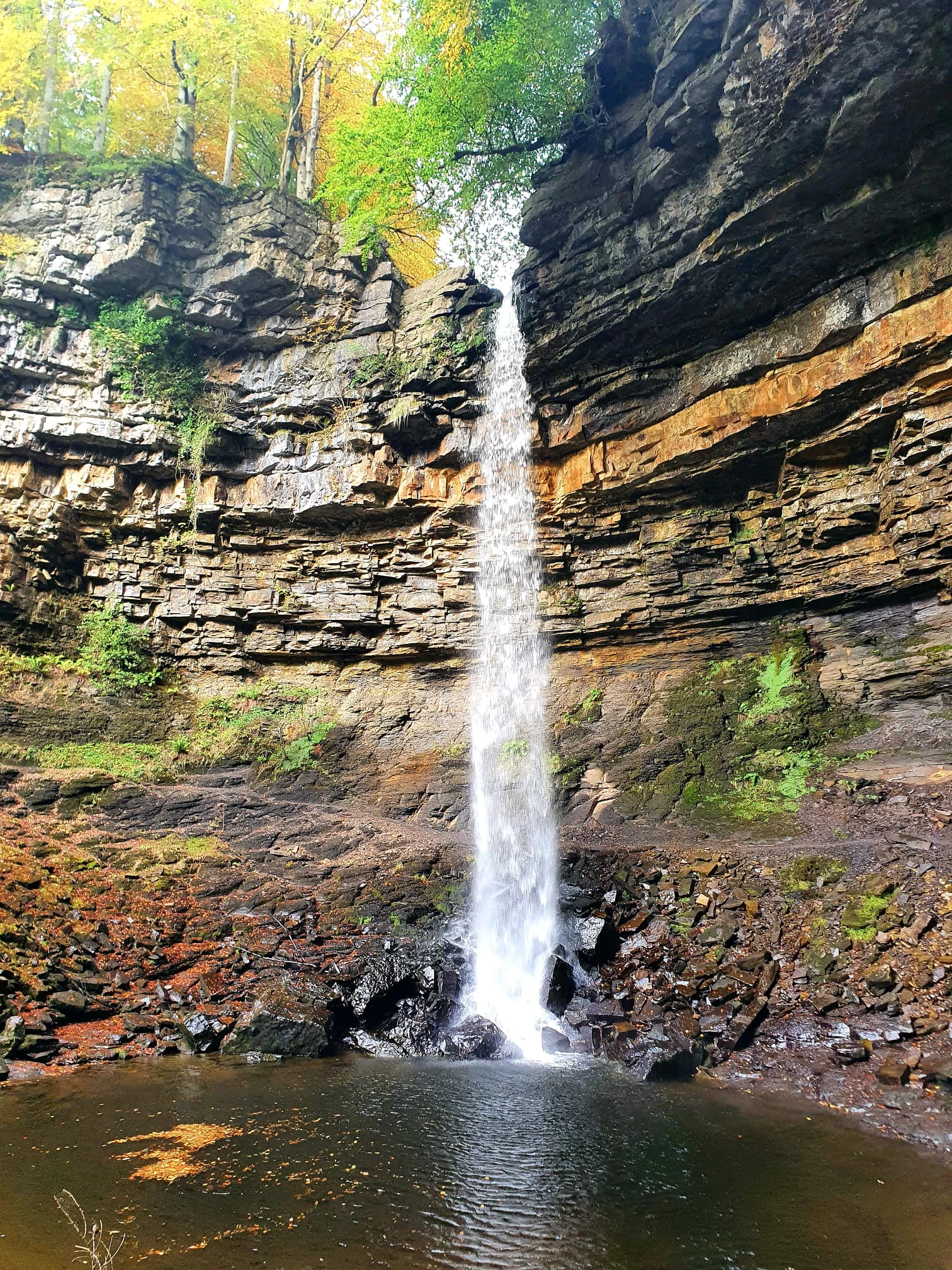 Mid-Week Mooch: Oct 25 Hardraw