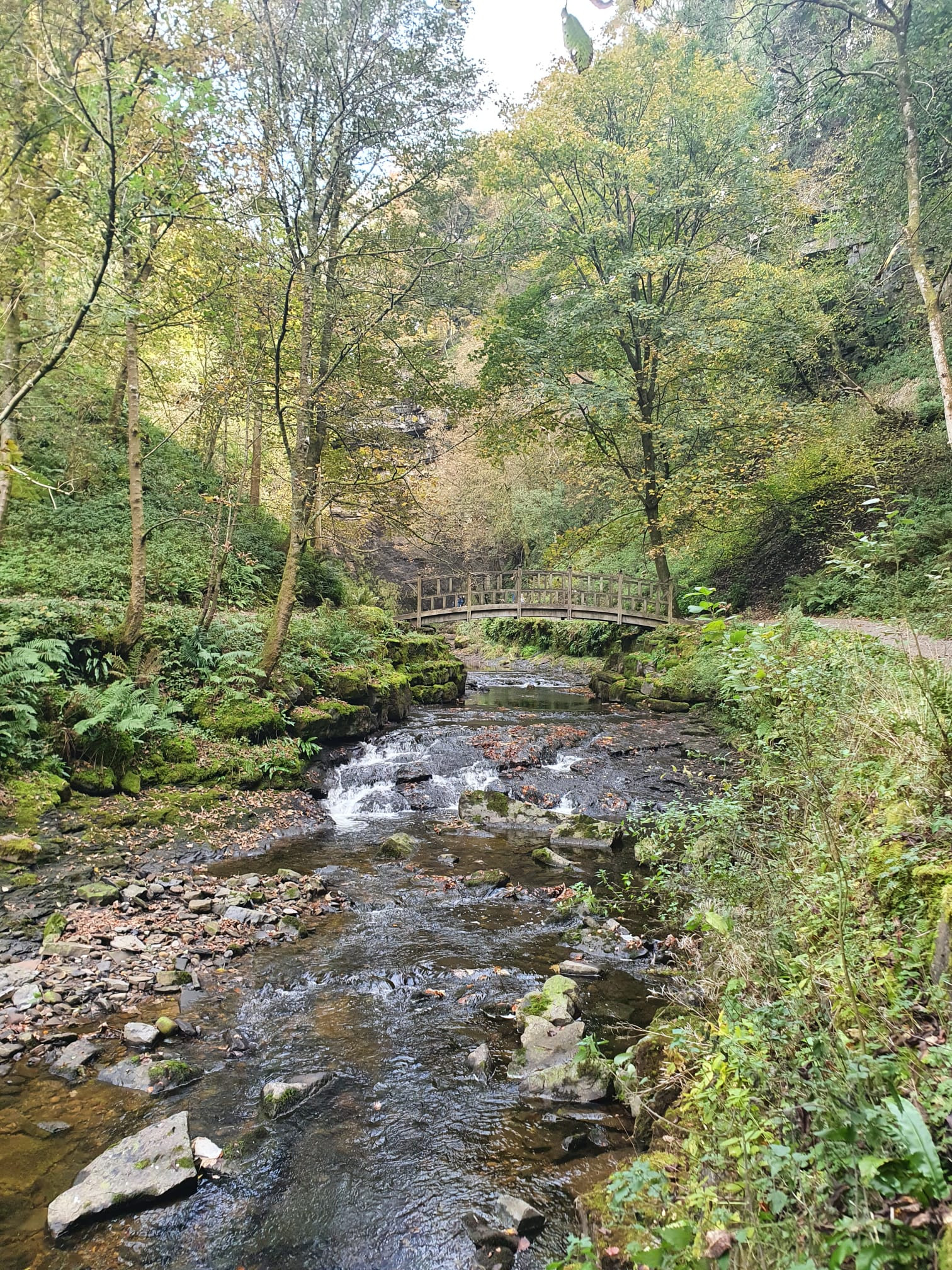 WhatsApp Image 2025 11 23 at 13.46.06