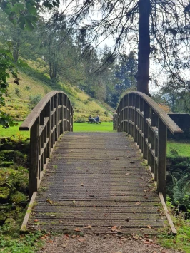 WhatsApp Image 2025 11 23 at 13.46.07 (4)