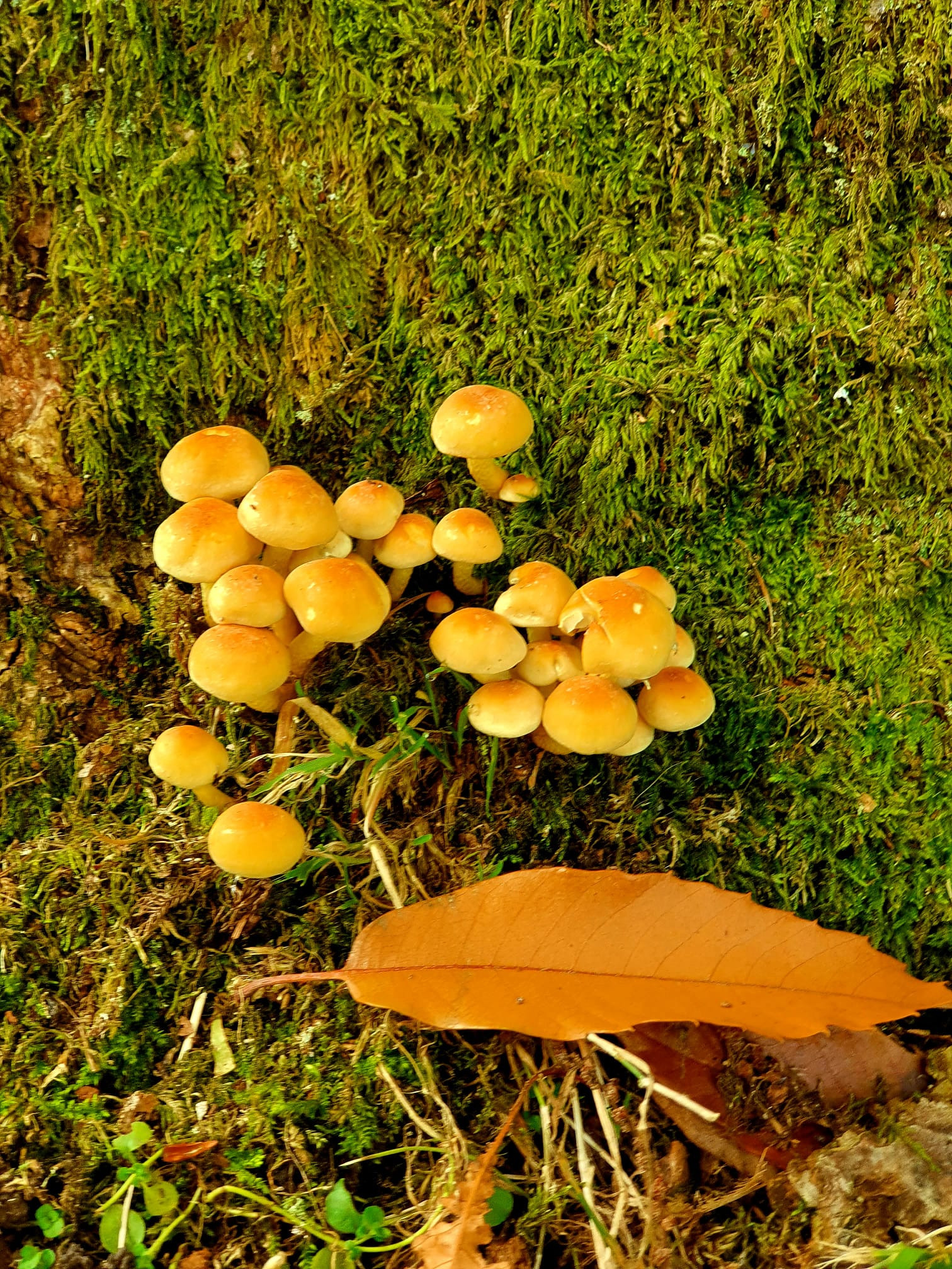 WhatsApp Image 2025 11 23 at 13.46.07 (5)