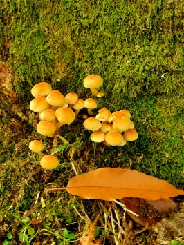 WhatsApp Image 2025 11 23 at 13.46.07 (5)