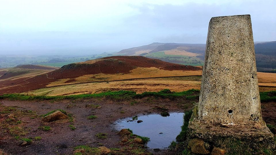 This Weekend's Walk #13 27.11.22