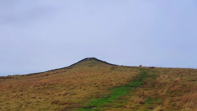 This weekends walk 13 pic 10