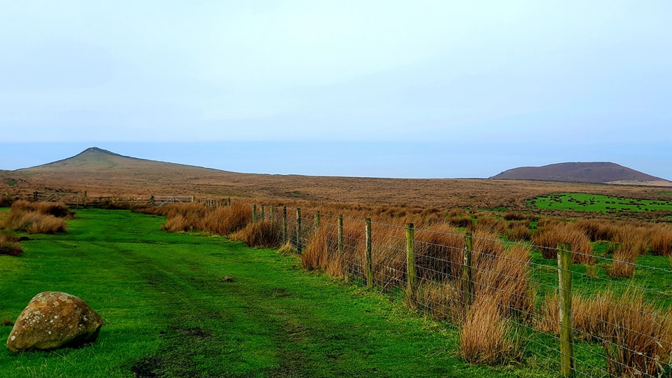 This weekends walk 13 pic 2