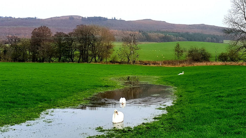 This weekends walk 13 pic 3