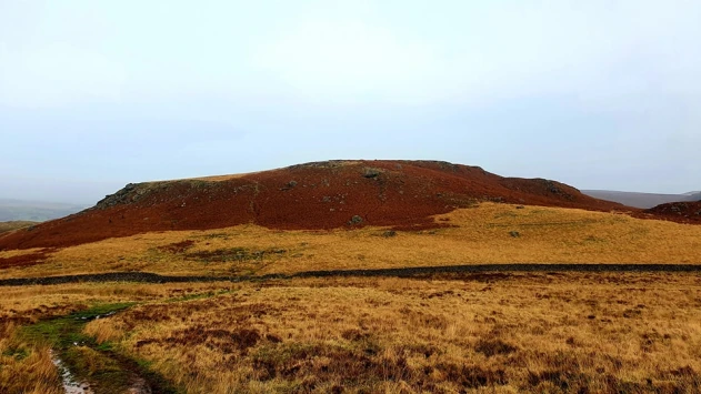 This weekends walk 13 pic 4