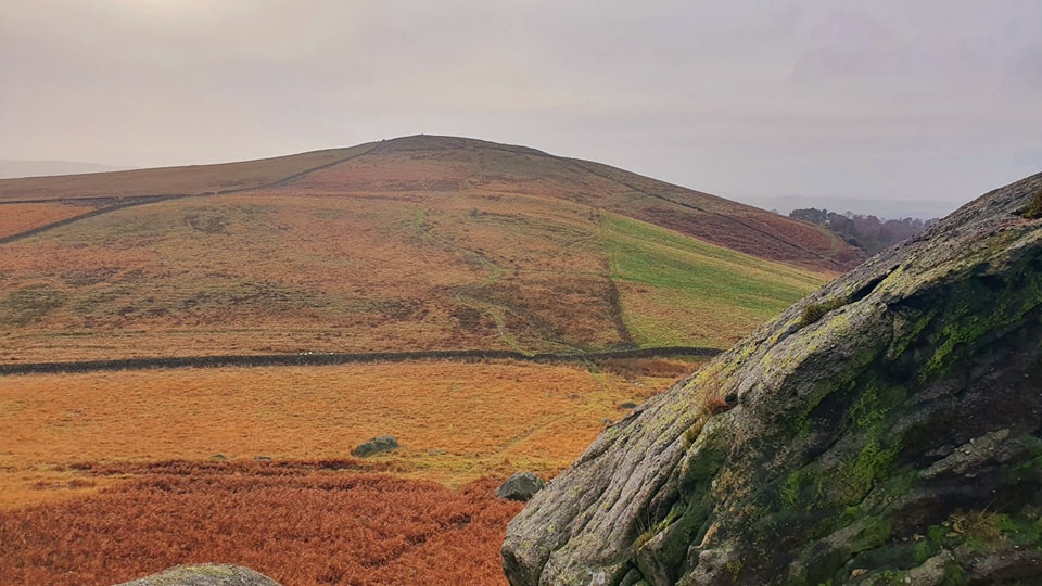 This weekends walk 13 pic 5