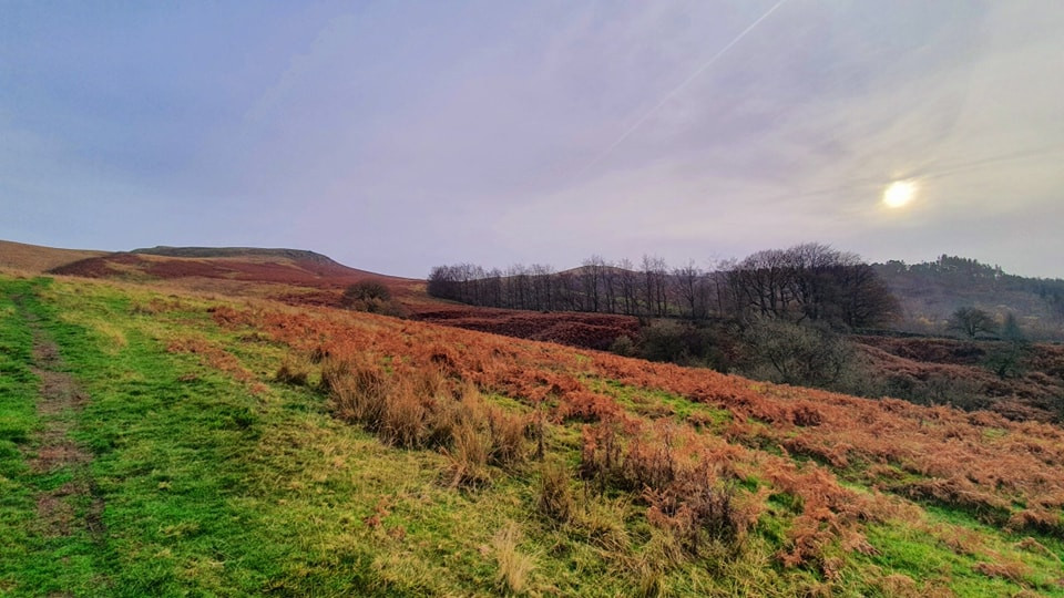 This weekends walk 13 pic 6