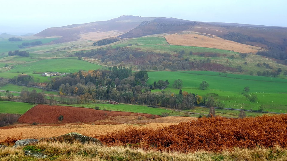 This weekends walk 13 pic 7