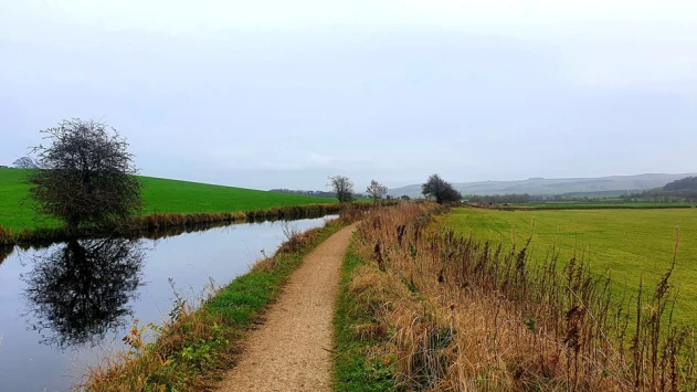 This weekends walk 13 pic 8